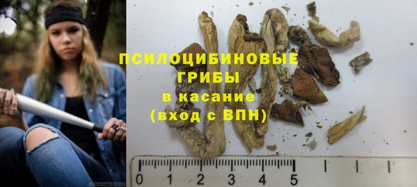 PSILOCYBIN Вязники