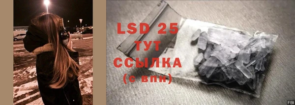 PSILOCYBIN Вязники