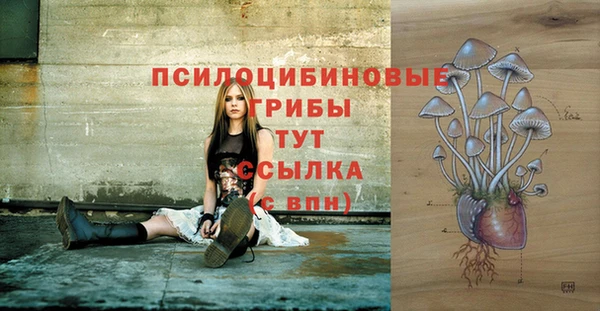 mdma Вяземский