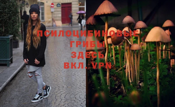 PSILOCYBIN Вязники