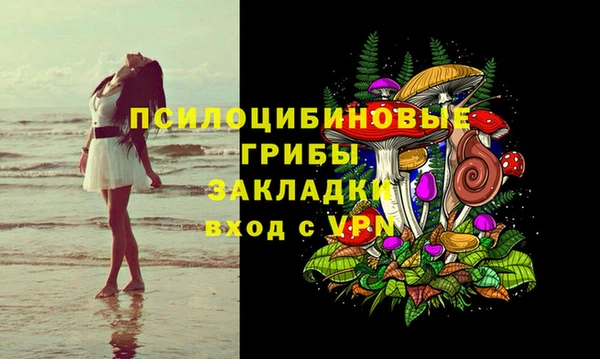 бошки Вязьма