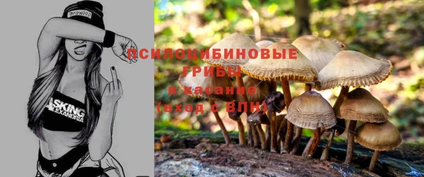 mdma Вяземский