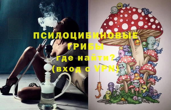 PSILOCYBIN Вязники